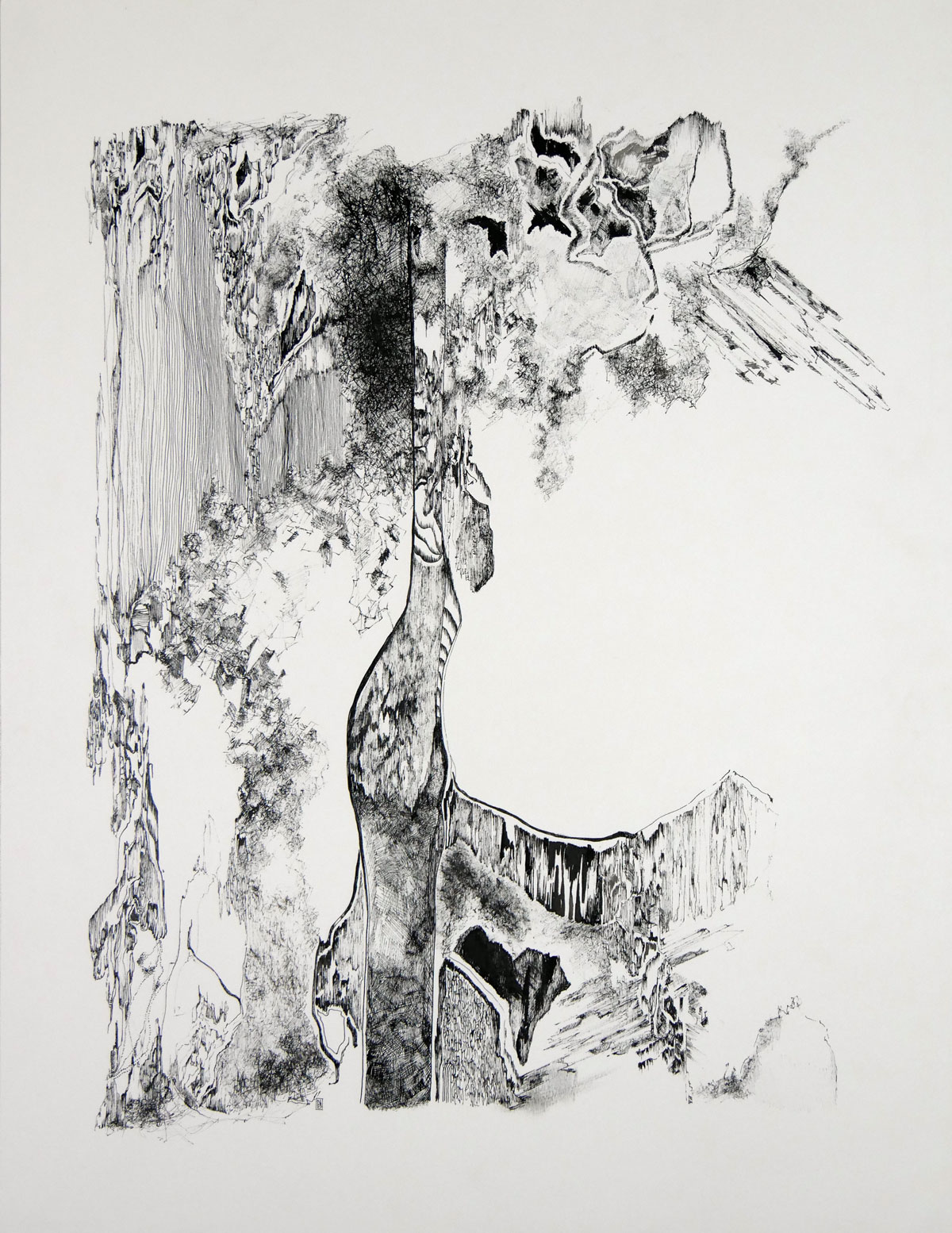 Dessin contemporain à l'encre de chine de Natacha Baluteau : une composition verticale dense évoquant des sédimentations, des racines ou des cavités minérales sur papier blanc.