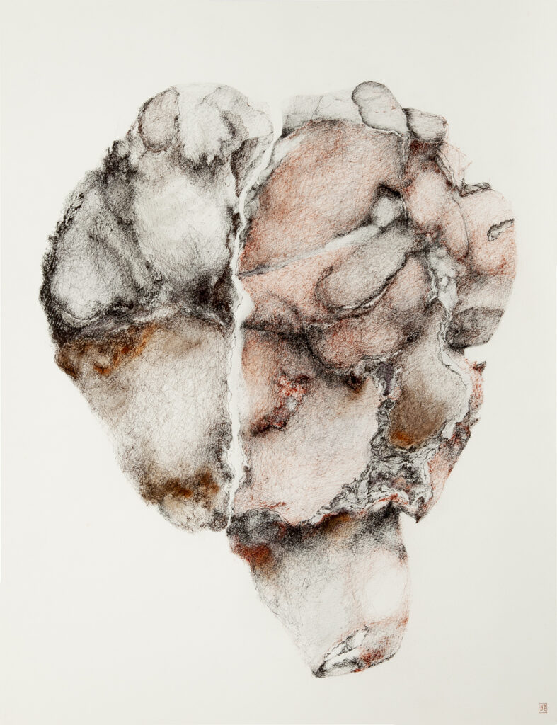 Dessin contemporain de Natacha Baluteau intitulé '130 millions d'années'. Travail de hachures et de textures aux encres évoquant une forme organique ou minérale scindée, aux nuances de sanguine, ocre et noir sur papier blanc.