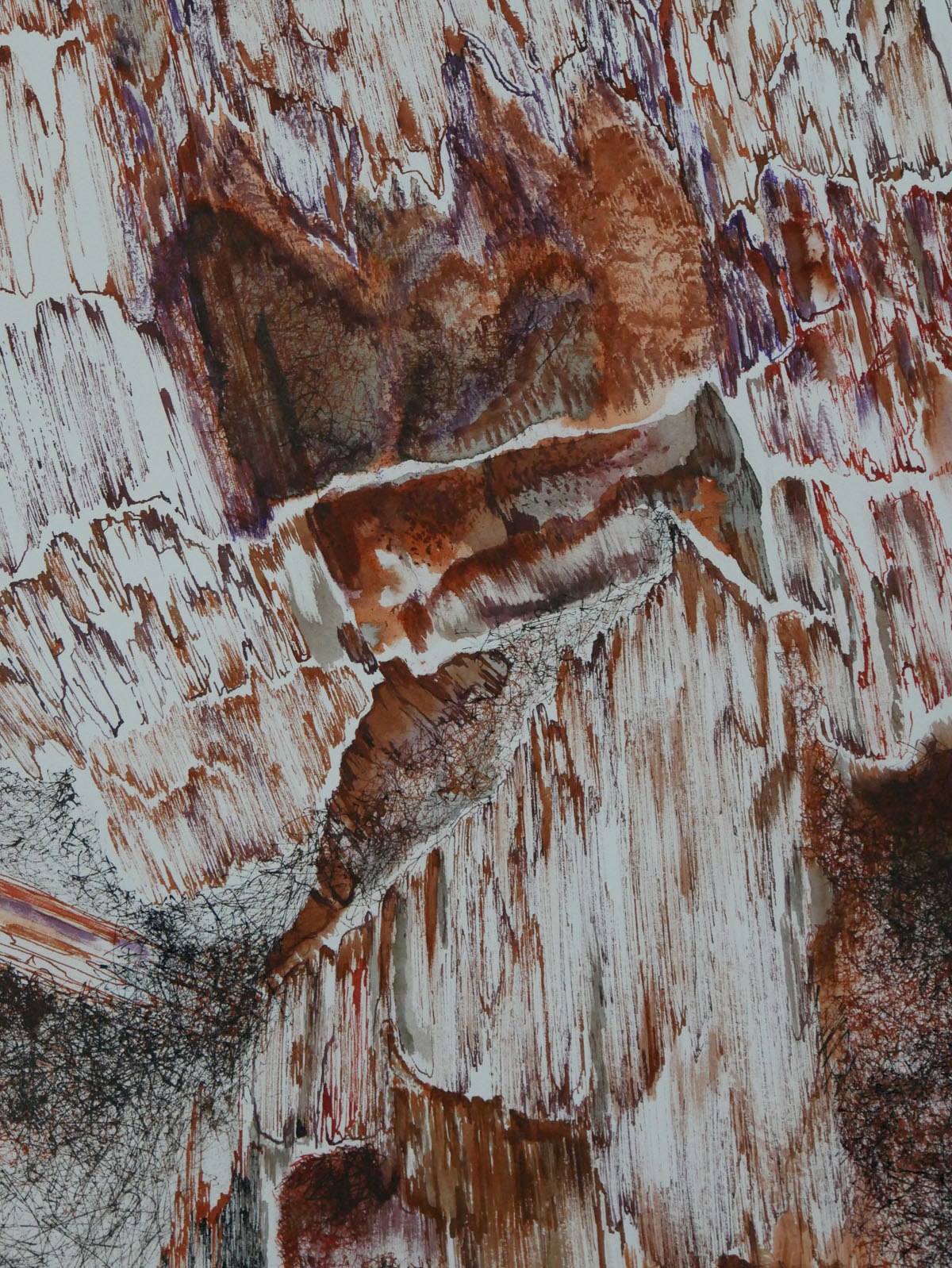 Fragment de dessin contemporain par l'artiste Natacha Baluteau. Détail d'une œuvre aux encres mêlant des traits fins et nerveux à des zones de lavis dans des tons d'ocre, de terre de Sienne et de brun. La composition évoque des strates géologiques, une écorce ou un paysage minéral abstrait.
